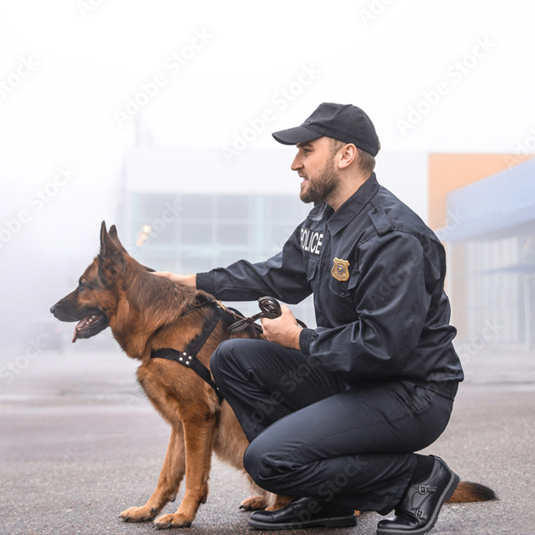 Dog Patrolling  Security